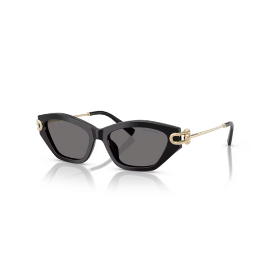 Tiffany & Co. 0TF4231U