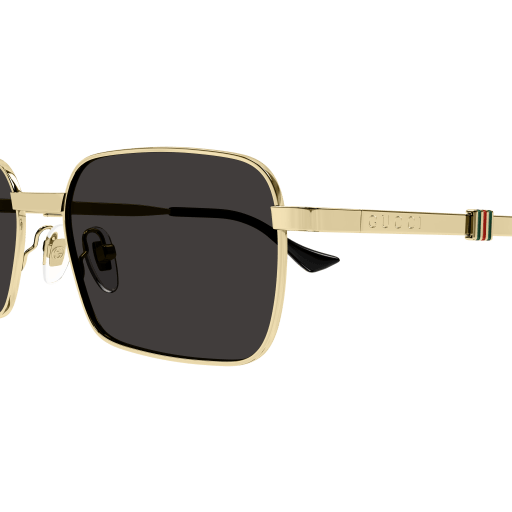 GUCCI - GG1495S 001