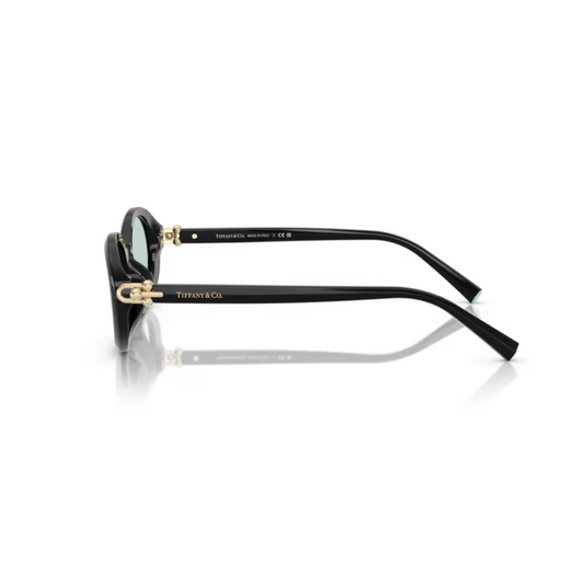 Tiffany & Co. 0TF4242D